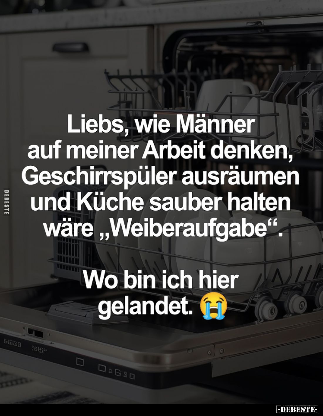 Liebs, wie Männer auf meiner Arbeit denken, Geschirrspüler ausräumen und Küche sauber halten wäre "Weiberaufgabe"....