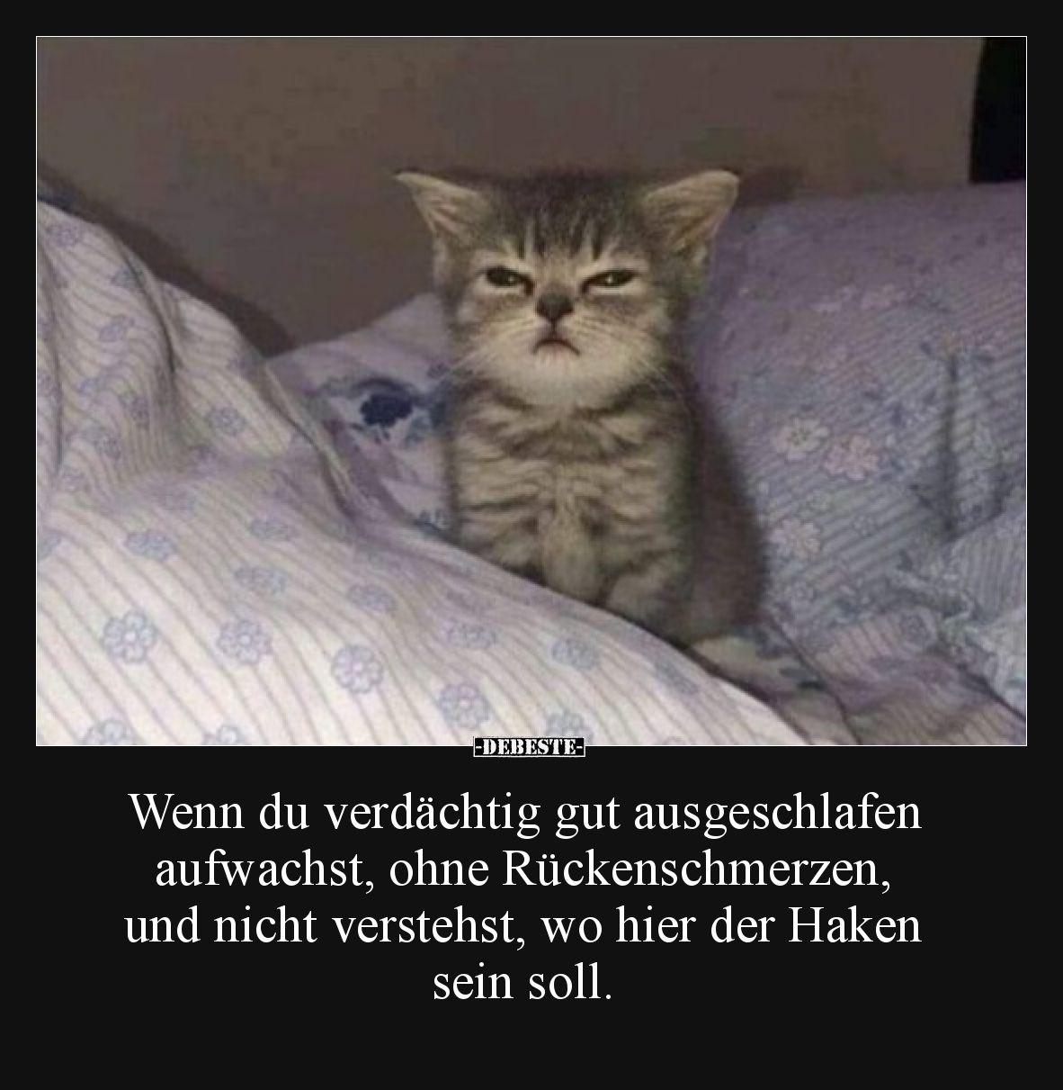 Wenn du verdächtig gut ausgeschlafen aufwachst, ohne Rückenschmerzen, und nicht verstehst, wo hier der Haken sein soll.