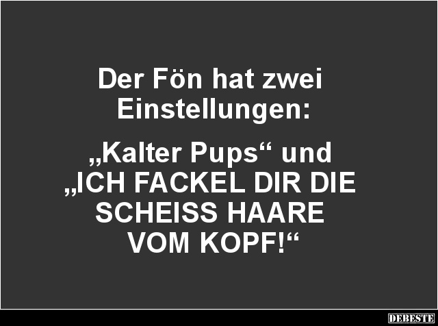 Der Fön hat zwei Einstellungen: 'Kalter Pups'.. - Lustige Bilder | DEBESTE.de