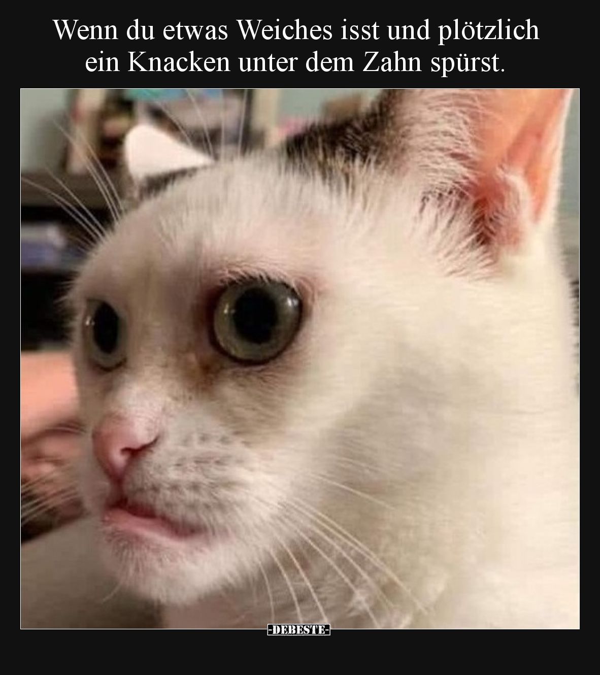 Wenn du etwas Weiches isst und plötzlich ein Knacken unter.. - Lustige Bilder | DEBESTE.de