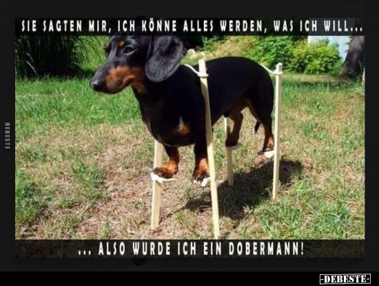 Sie sagten, ich könne alles werden was ich will..