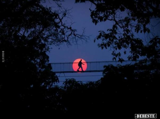  - Lustige Bilder | DEBESTE.de