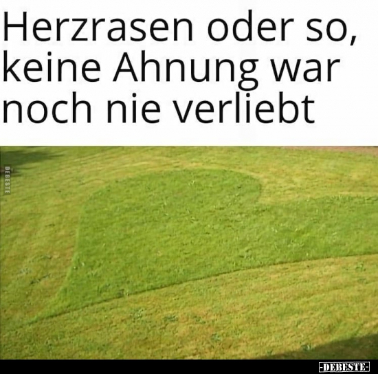 Herzrasen oder so, keine Ahnung war noch nie verliebt.. - Lustige Bilder | DEBESTE.de