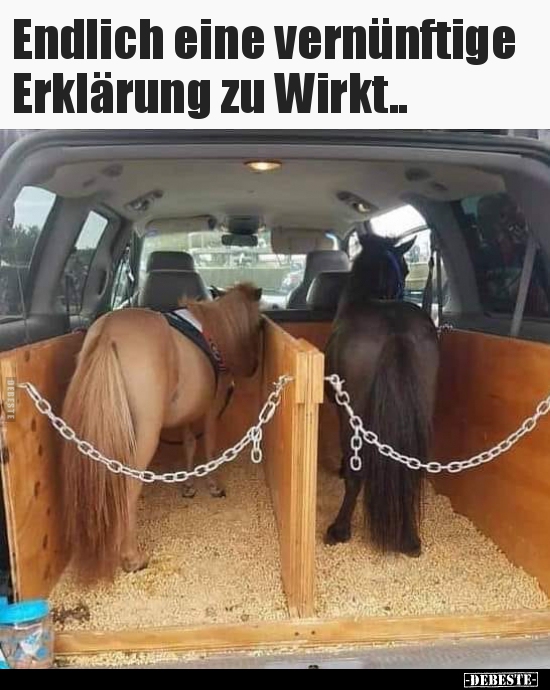 Endlich eine vernünftige Erklärung zu Wirkt..