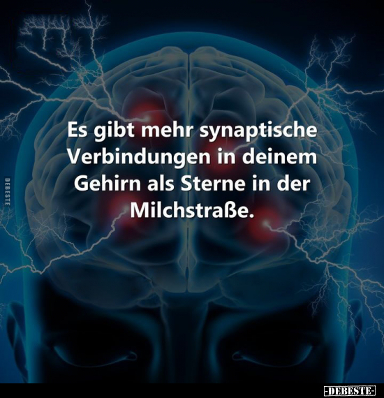 Es gibt mehr synaptische Verbindungen in deinem Gehirn.. - Lustige Bilder | DEBESTE.de