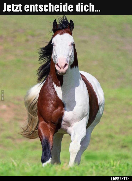 Jetzt entscheide dich...