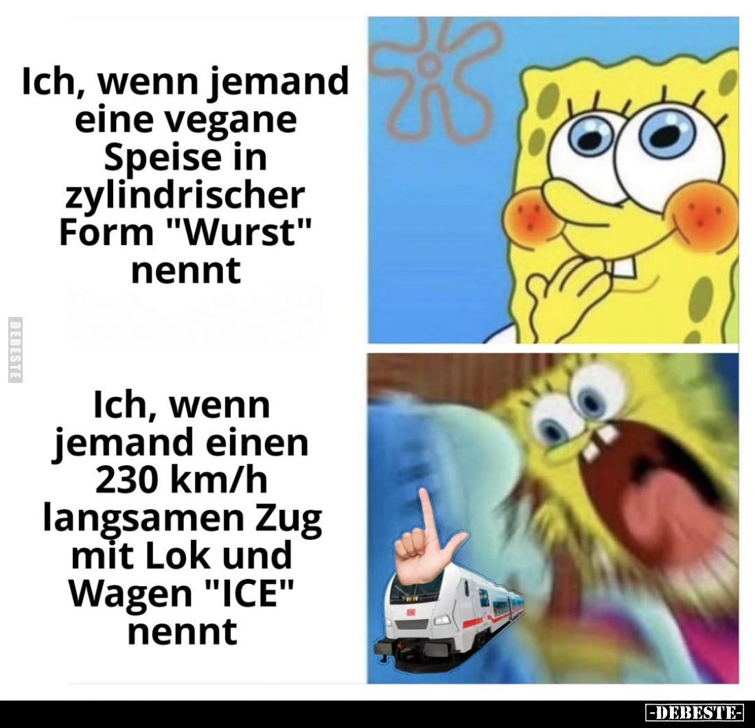 Ich, wenn jemand eine vegane Speise in zylindrischer Form "Wurst" nennt. -
Ich, wenn jemand einen 230 km/h langsam...