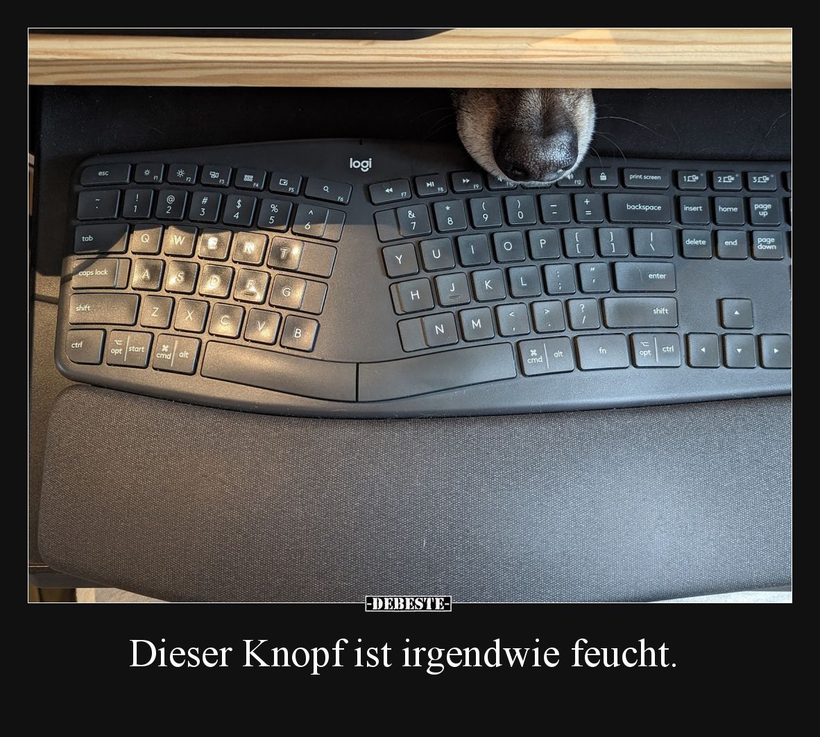 Dieser Knopf ist irgendwie feucht... - Lustige Bilder | DEBESTE.de