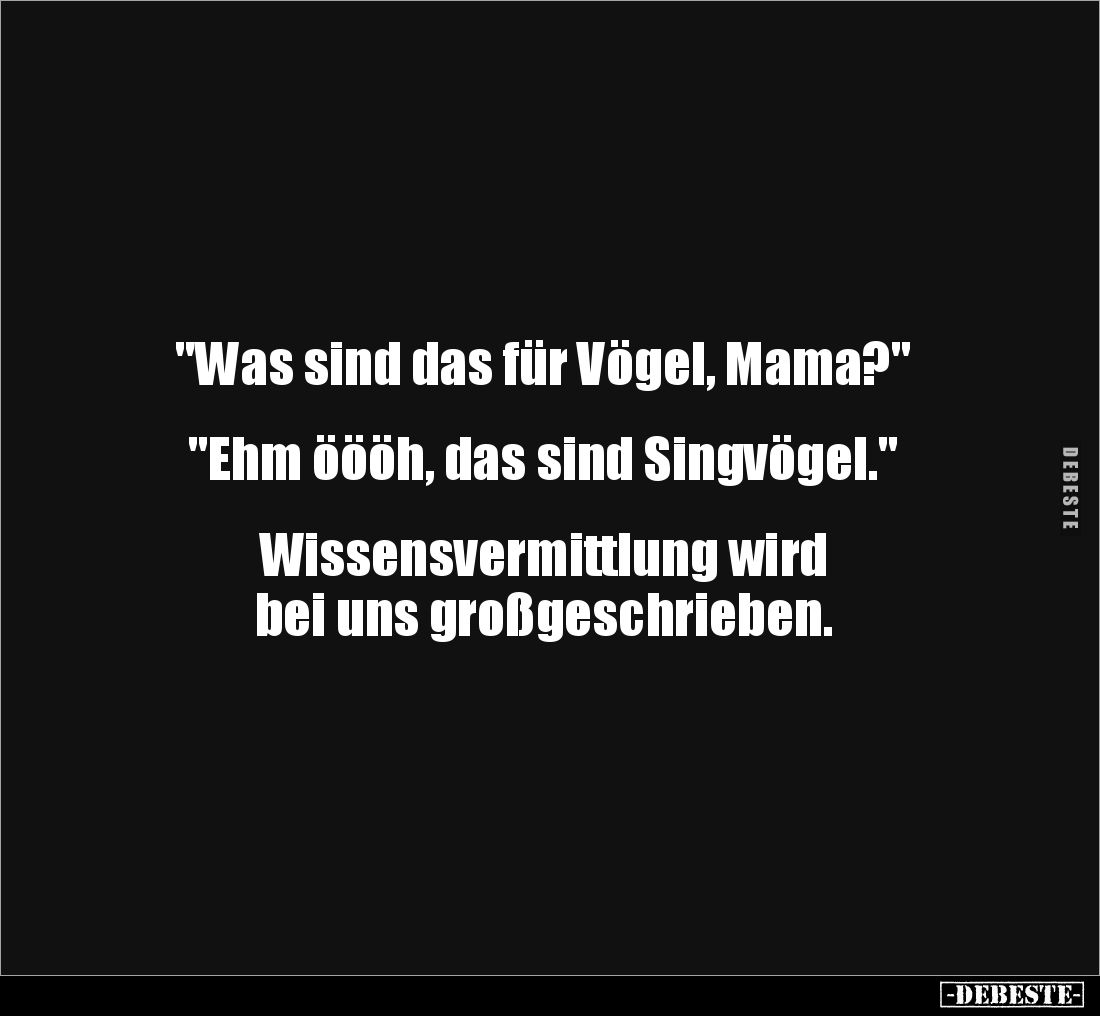 "Was sind das für Vögel, Mama?"
"Ehm öööh, das sind Singvögel."
Wissensvermittlung wird
bei u...