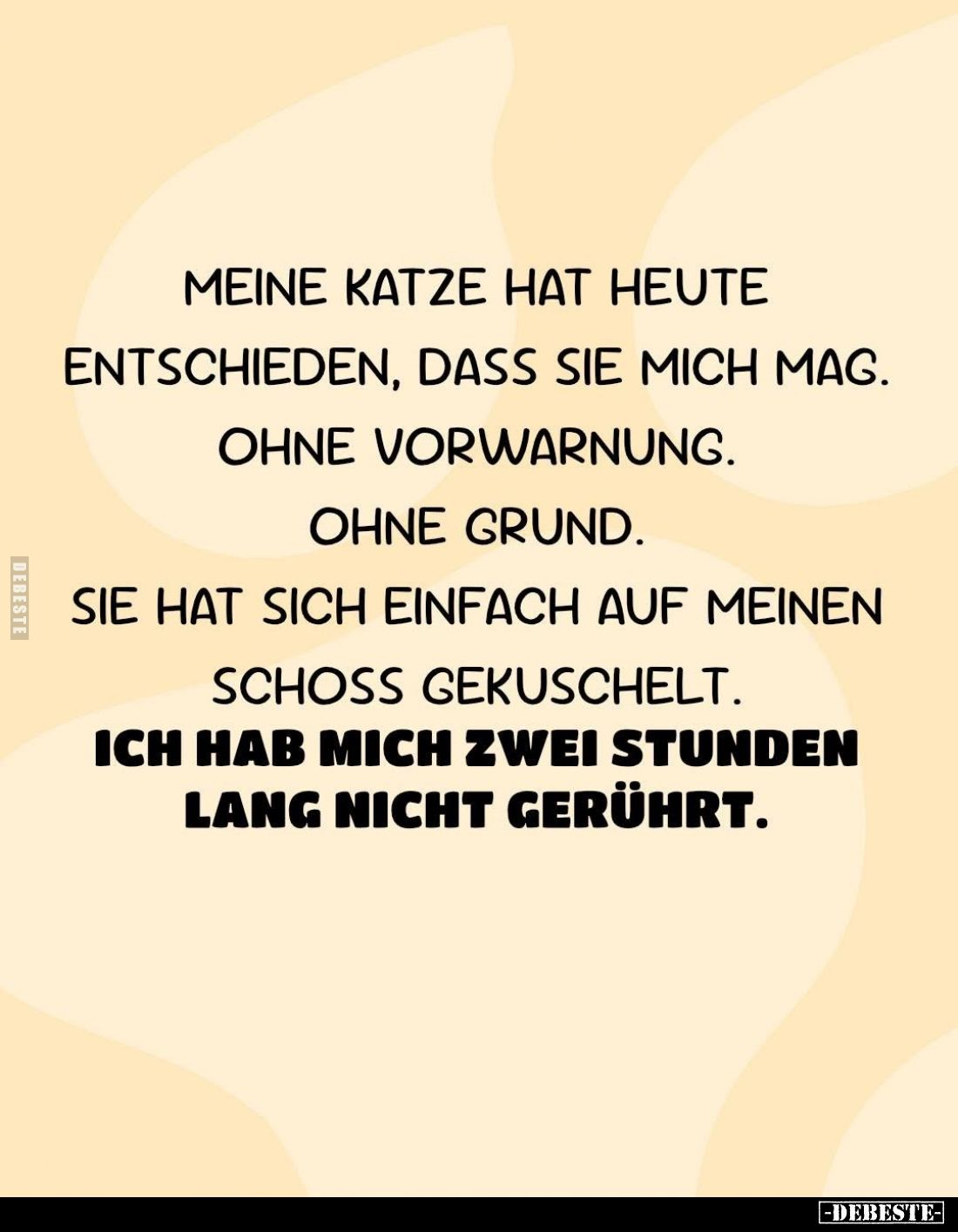Meine Katze hat heute entschieden, dass sie mich mag. Ohne Vorwarnung.
Ohne Grund.
Sie hat sich einfach auf meinen
Schoss ...