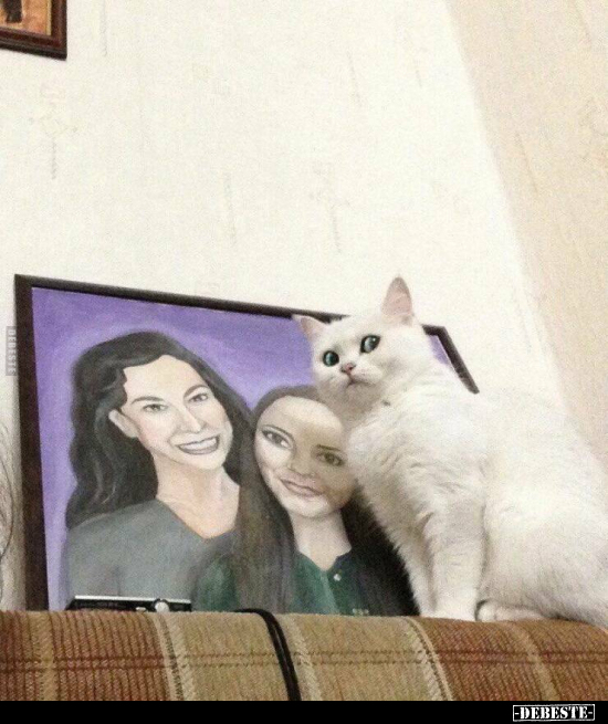  - Lustige Bilder | DEBESTE.de