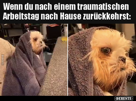 Wenn du nach einem traumatischen Arbeitstag nach Hause.. - Lustige Bilder | DEBESTE.de