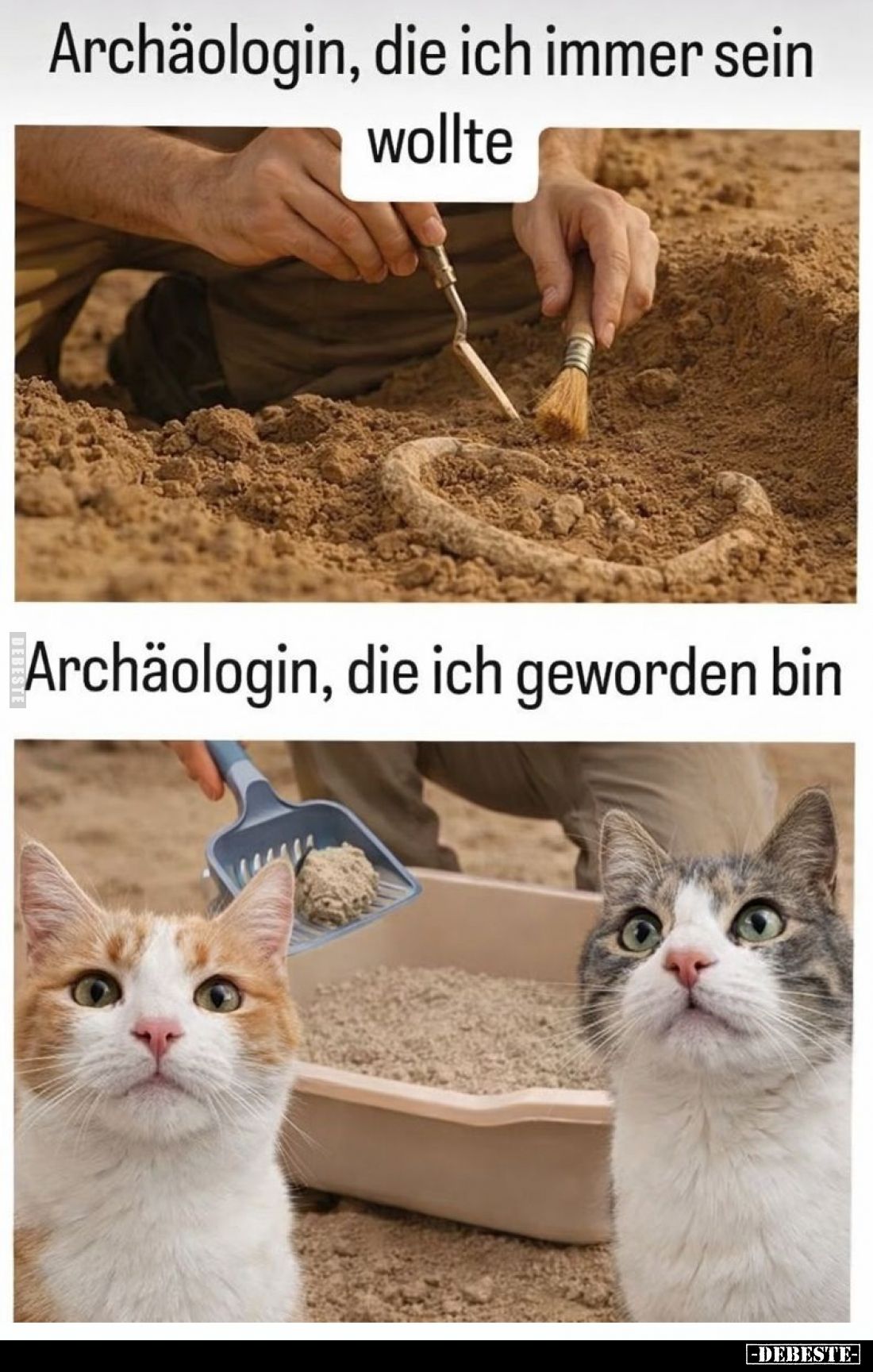  - Lustige Bilder | DEBESTE.de