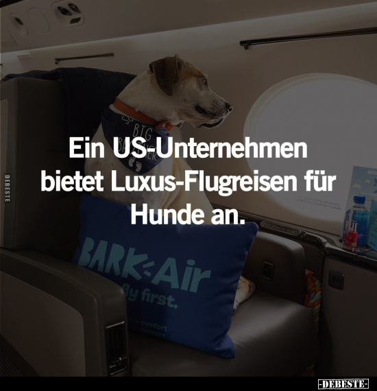 Ein US-Unternehmen bietet Luxus-Flugreisen für.. - Lustige Bilder | DEBESTE.de