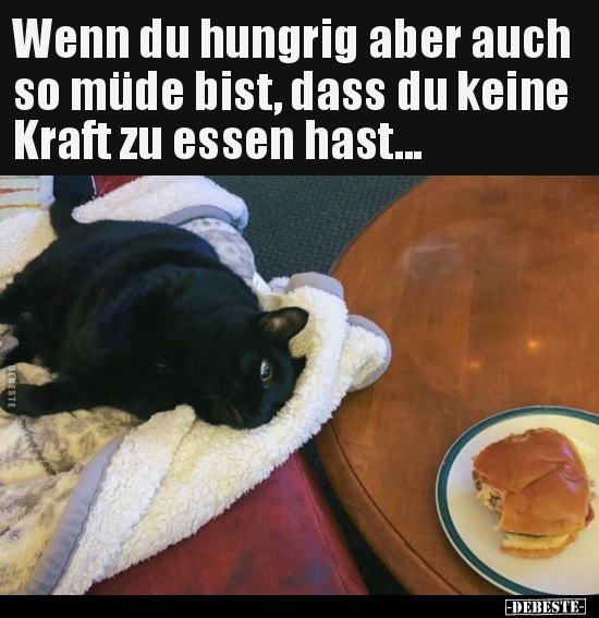 Wenn du hungrig aber auch so müde bist, dass du keine Kraft.. - Lustige Bilder | DEBESTE.de