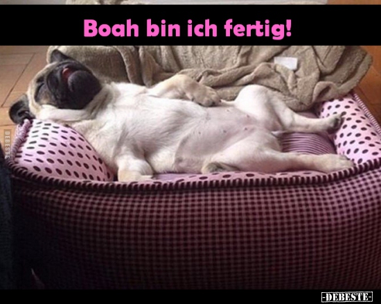 Boah bin ich fertig!