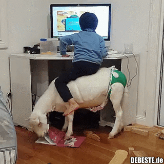 Genug Internet für Heute...