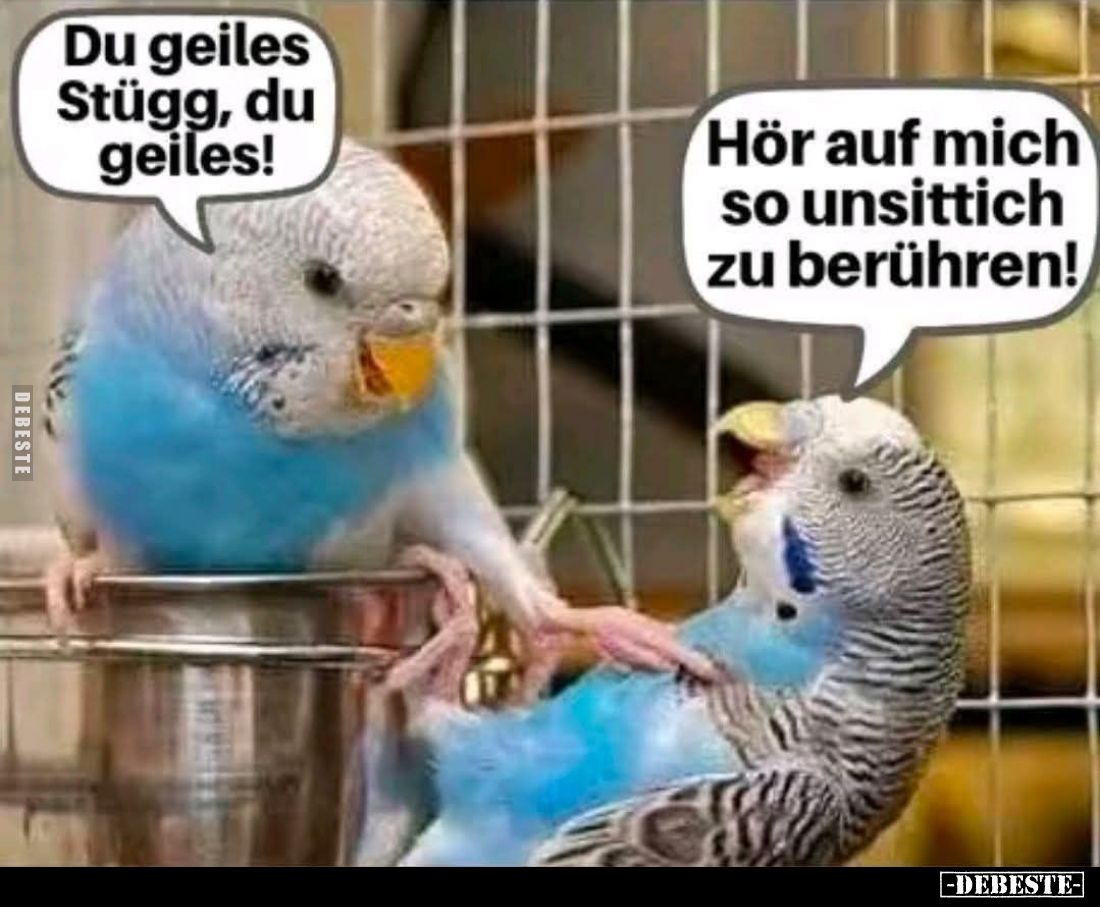 Du geiles Stügg, du geiles! -
Hör auf mich so unsittich zu berühren!