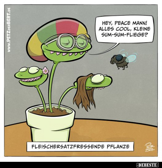 Fleischersatzfressende Pflanze.. - Lustige Bilder | DEBESTE.de