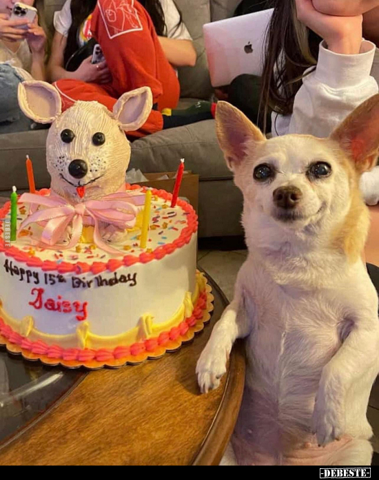  - Lustige Bilder | DEBESTE.de