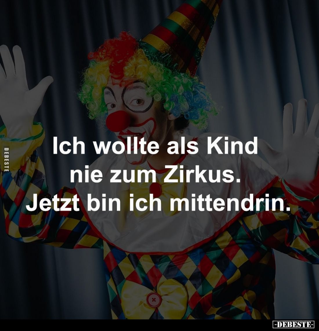 Ich wollte als Kind nie zum Zirkus. 
Jetzt bin ich mittendrin.