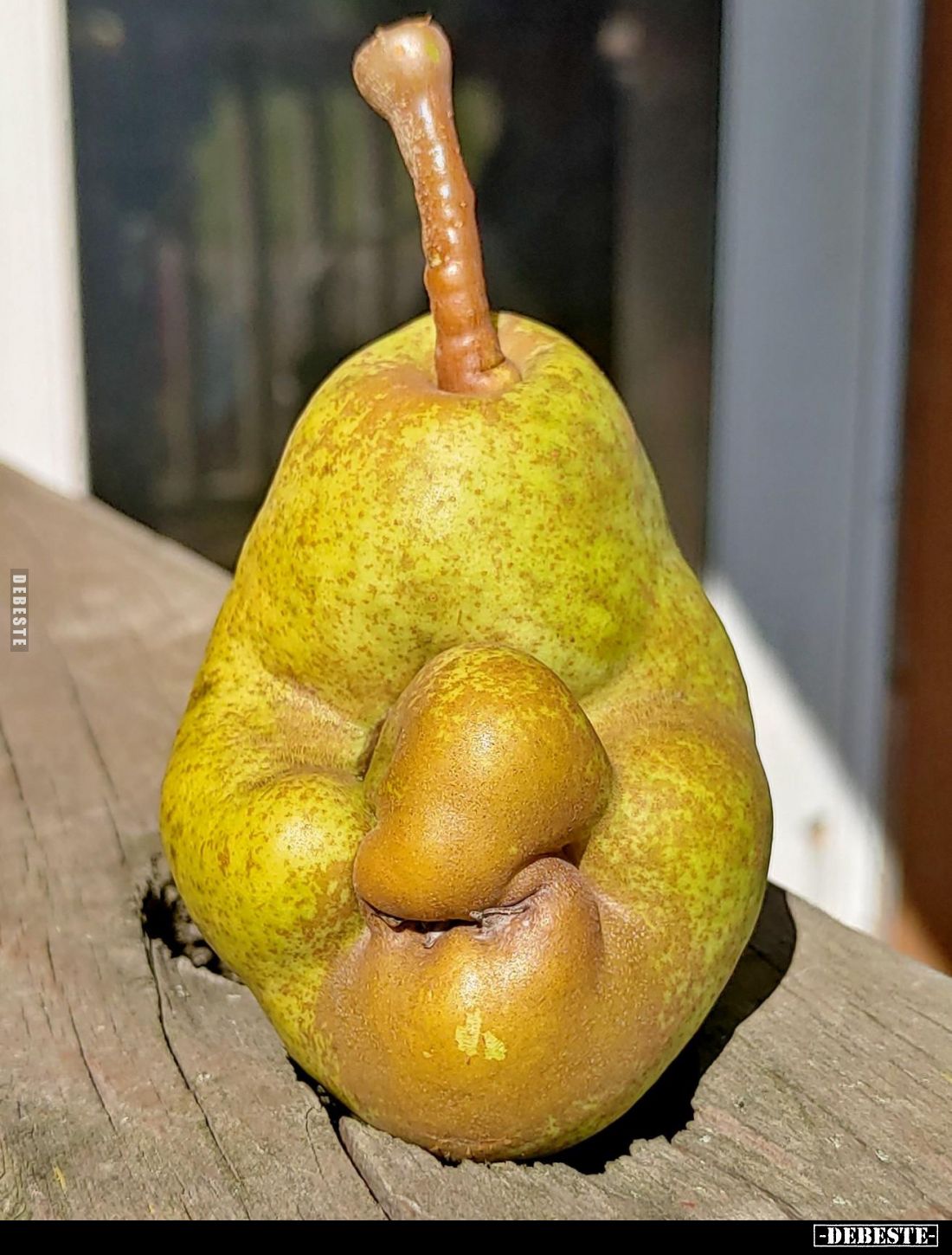  - Lustige Bilder | DEBESTE.de