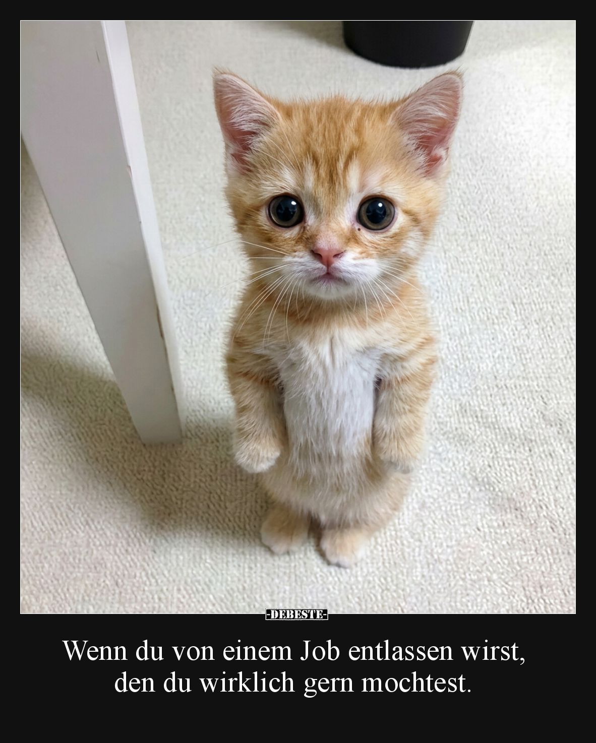Wenn du von einem Job entlassen wirst, den du wirklich gern mochtest.
