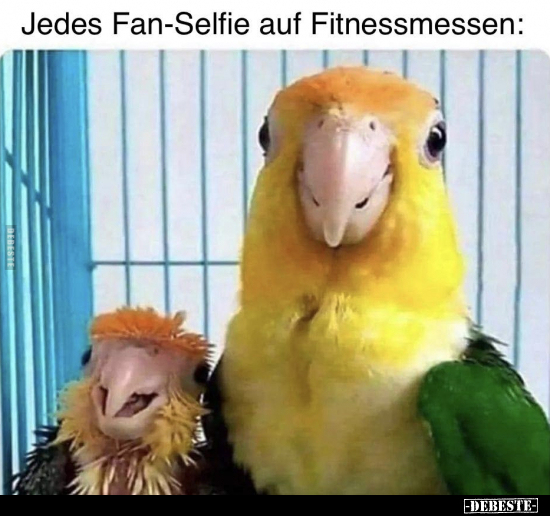 Jedes Fan-Selfie auf Fitnessmessen.. - Lustige Bilder | DEBESTE.de