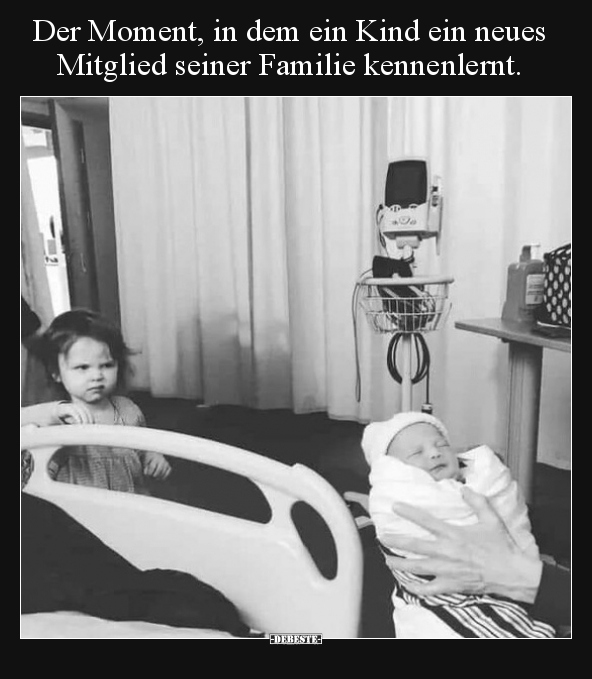 Der Moment, in dem ein Kind ein neues Mitglied seiner..
