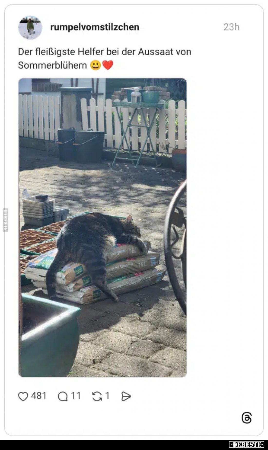Der fleißigste Helfer bei der Aussaat von Sommerblühern.. - Lustige Bilder | DEBESTE.de
