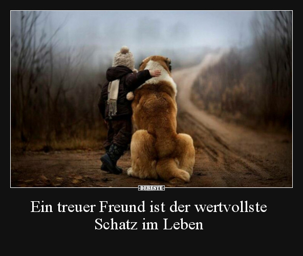 Ein treuer Freund ist der wertvollste Schatz im Leben.. - Lustige Bilder | DEBESTE.de