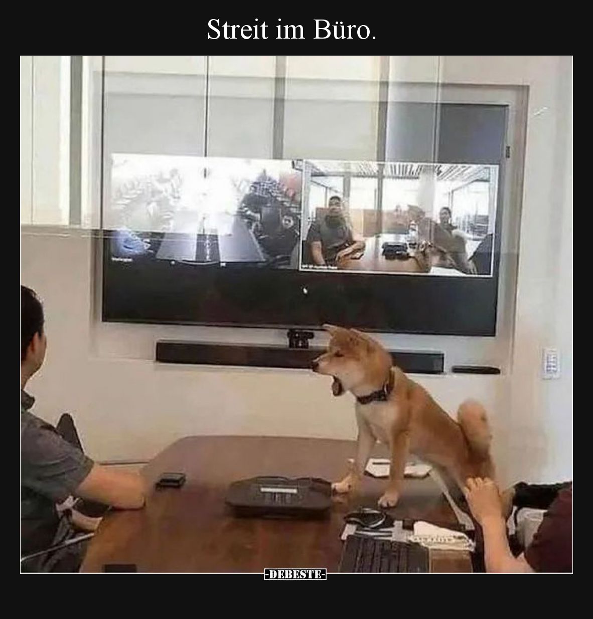 Streit im Büro