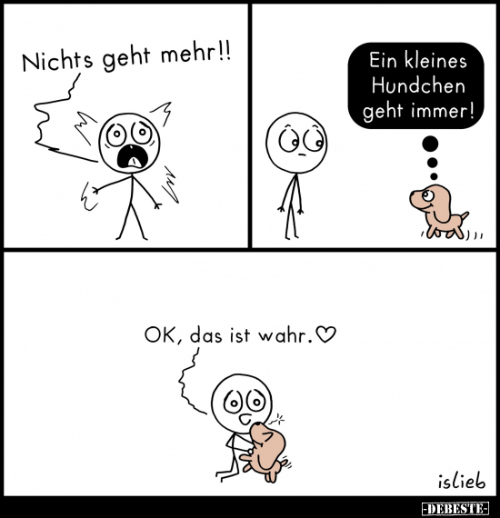 Nichts geht mehr!! - Ein kleines Hundchen geht immer!.. - Lustige Bilder | DEBESTE.de