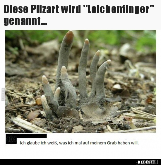Diese Pilzart wird "Leichenfinger" genannt... - Lustige Bilder | DEBESTE.de