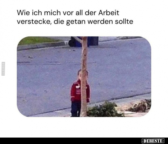 Wie ich mich vor all der Arbeit verstecke.. - Lustige Bilder | DEBESTE.de