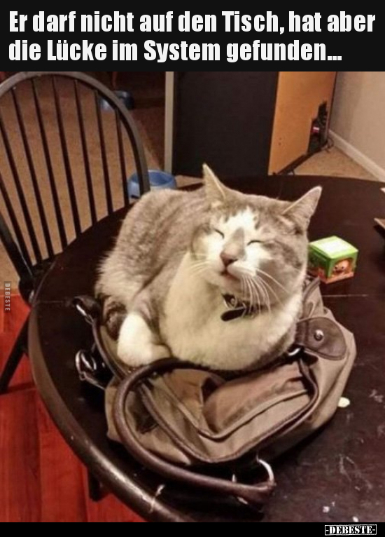 Er darf nicht auf den Tisch, hat aber die Lücke im System..
