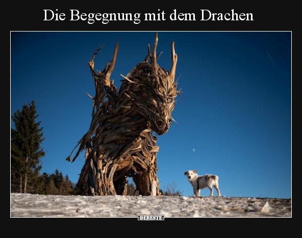 Die Begegnung mit dem Drachen.. - Lustige Bilder | DEBESTE.de