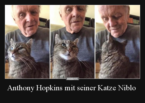 Anthony Hopkins Mit Seiner Katze Niblo Lustige Bilder Spruche Witze Echt Lustig