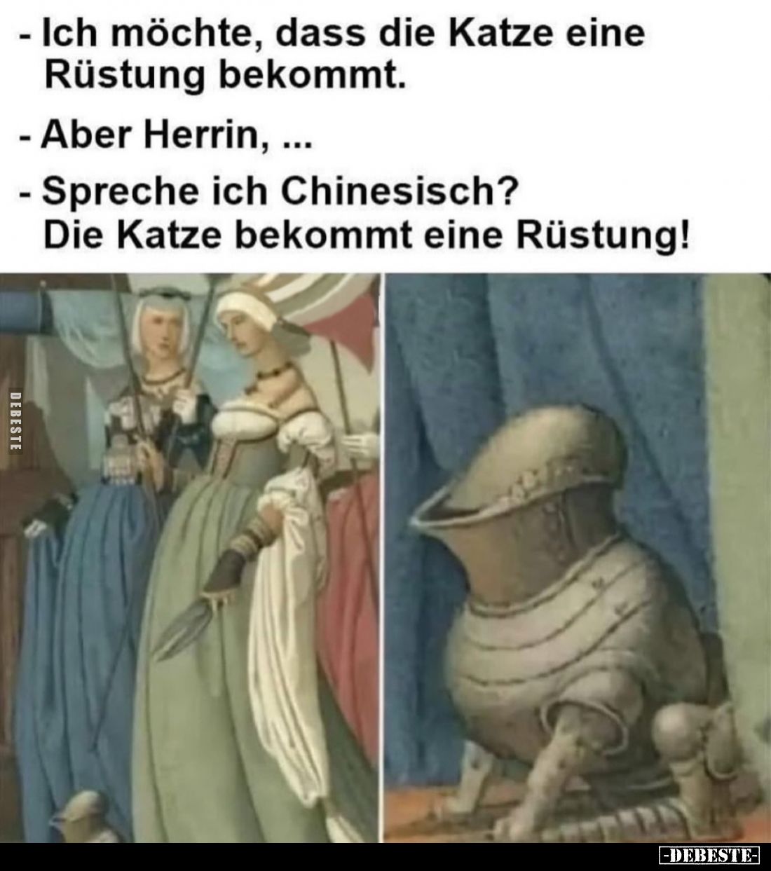 -Ich möchte, dass die Katze eine Rüstung bekommt.
- Aber Herrin, ...
- Spreche ich Chinesisch? Die Katze bekommt eine Rüs...