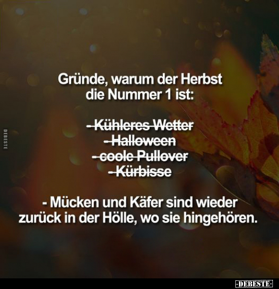 Gründe, warum der Herbst die Nummer 1 ist:.. - Lustige Bilder | DEBESTE.de