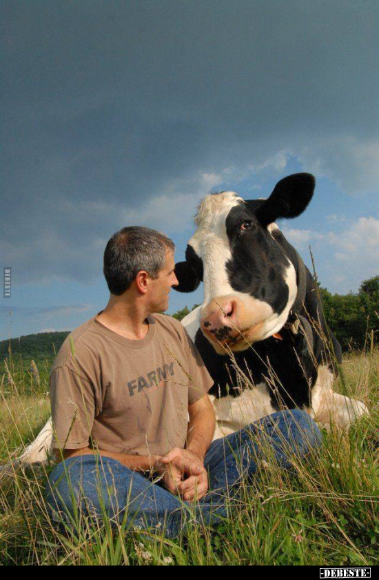  - Lustige Bilder | DEBESTE.de