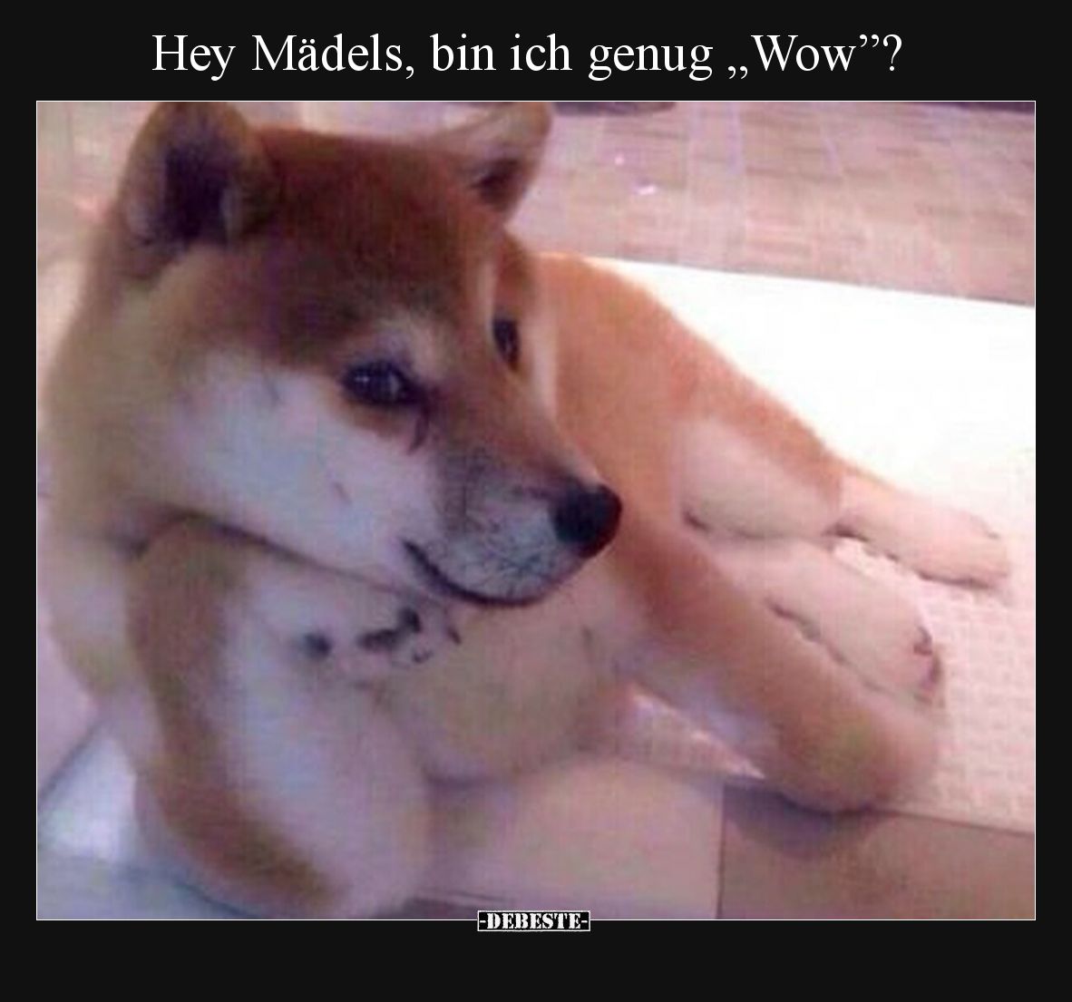Hey Mädels, bin ich genug „Wow”?