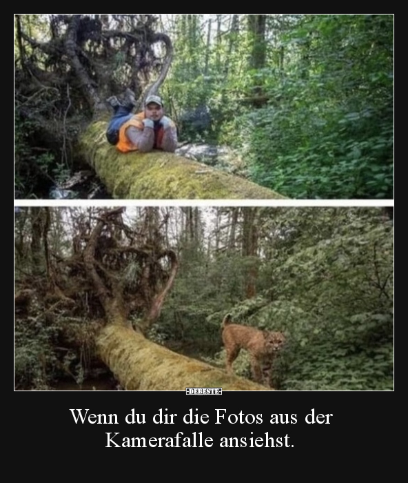 Wenn du dir die Fotos aus der Kamerafalle ansiehst... - Lustige Bilder | DEBESTE.de