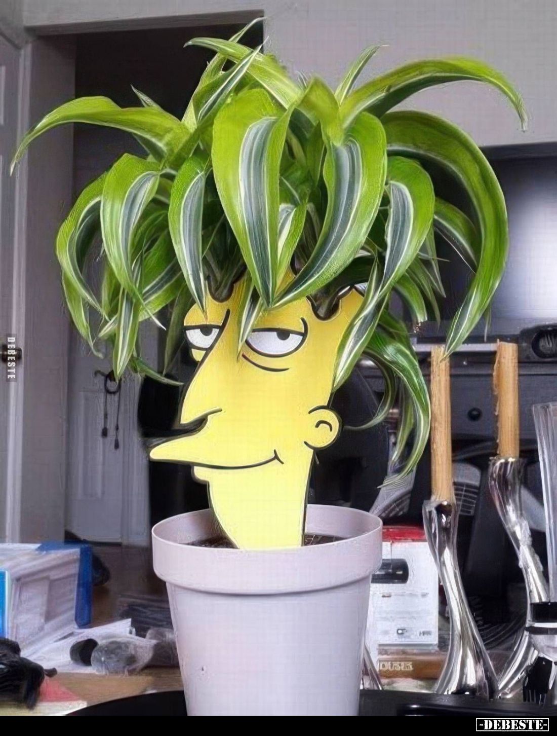  - Lustige Bilder | DEBESTE.de