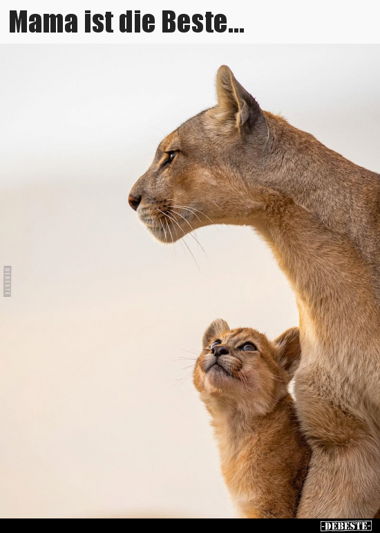 Mama ist die Beste...