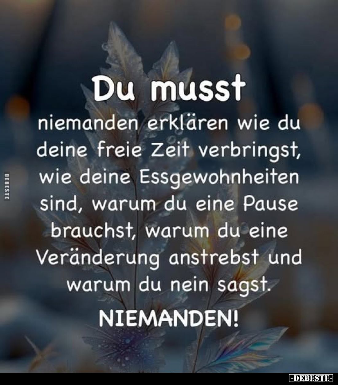 Du musst niemanden erklären wie du deine freie Zeit verbringst.. - Lustige Bilder | DEBESTE.de