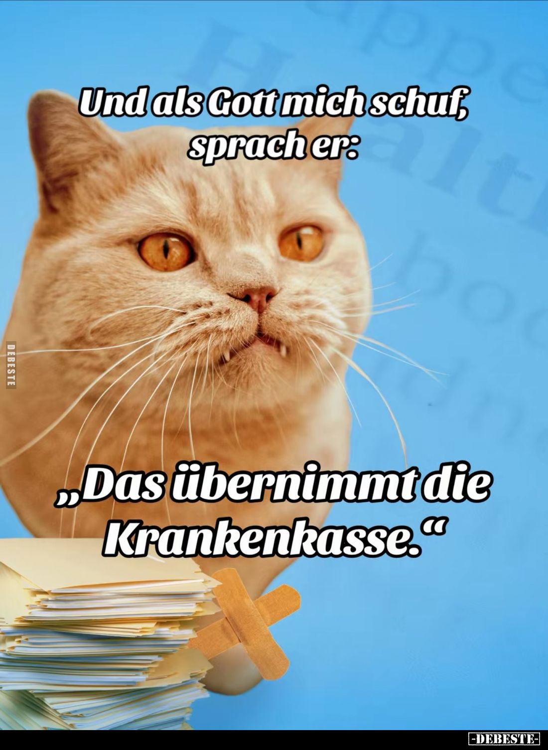 Und als Gott mich schuf, sprach er:
„Das übernimmt die Krankenkasse."