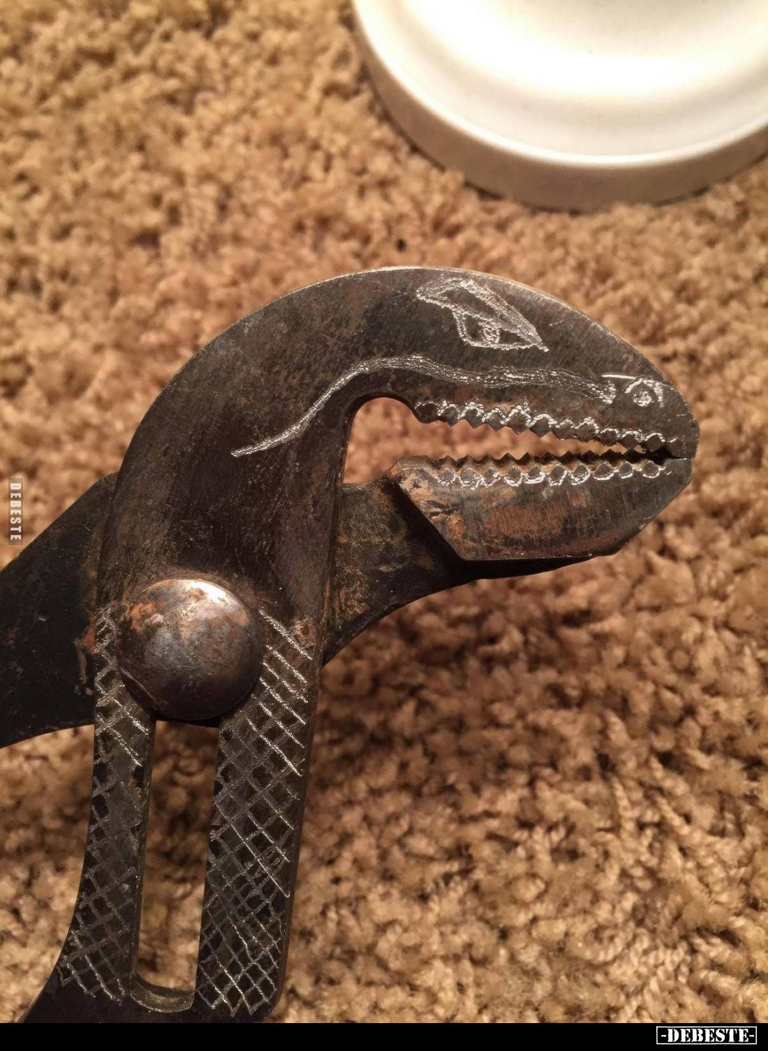  - Lustige Bilder | DEBESTE.de