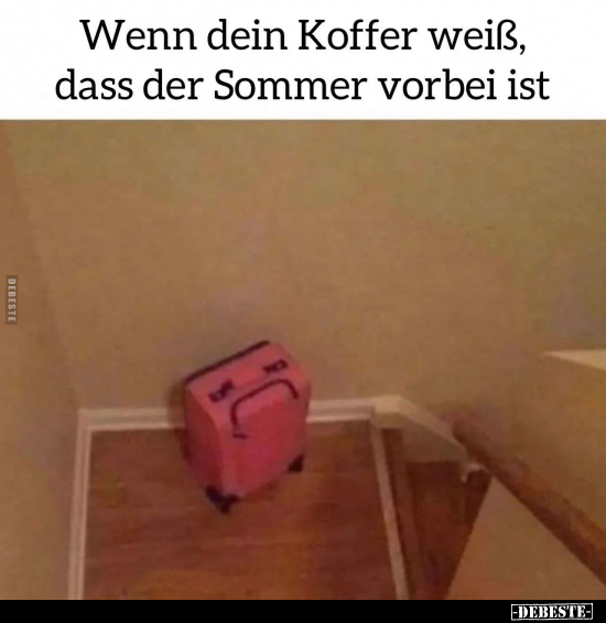 Wenn dein Koffer weiß, dass der Sommer vorbei ist.. - Lustige Bilder | DEBESTE.de