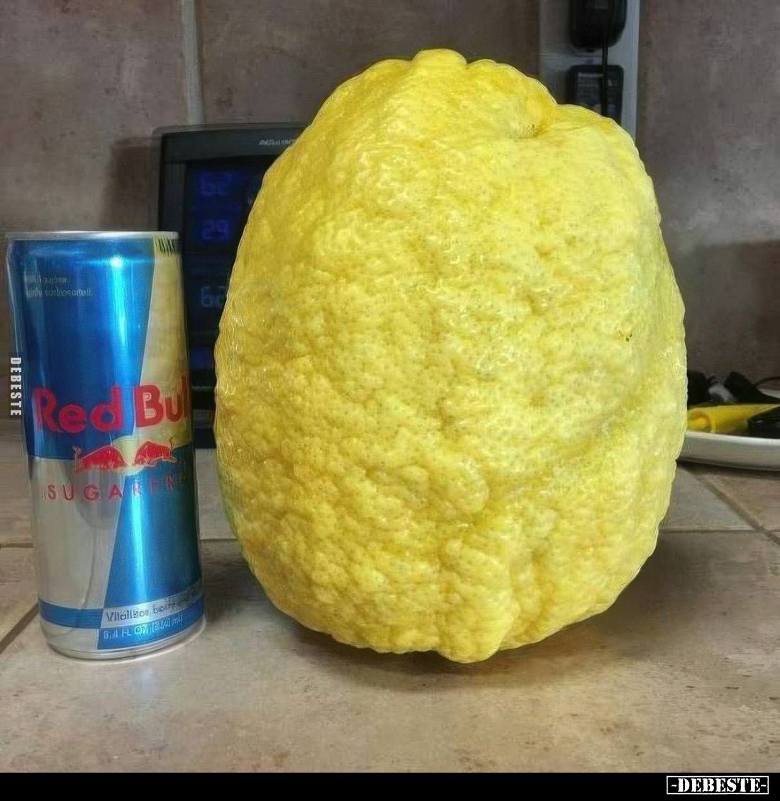  - Lustige Bilder | DEBESTE.de